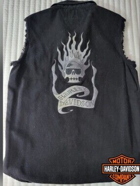 Harley Davidson Blazing Bones AC/DC Black Ice Tour 2008- 2010